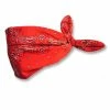 Kids Red Bandana